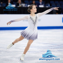 Load image into Gallery viewer, Figure Skating Dress #SD420