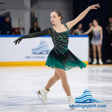 Load image into Gallery viewer, Figure Skating Dress #SD428