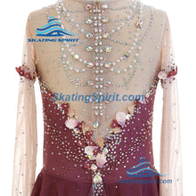 Load image into Gallery viewer, Figure Skating Dress #SD449
