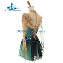 Load image into Gallery viewer, Figure Skating Dress #SD462