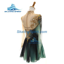 Load image into Gallery viewer, Figure Skating Dress #SD462