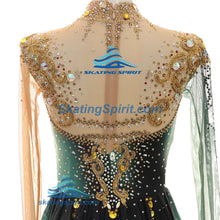 Load image into Gallery viewer, Figure Skating Dress #SD462