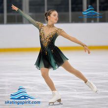 Load image into Gallery viewer, Figure Skating Dress #SD462