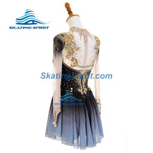 Load image into Gallery viewer, Figure Skating Dress #SD462