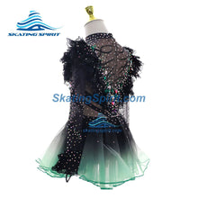 Load image into Gallery viewer, Figure Skating Dress #SD466