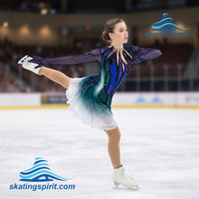 Load image into Gallery viewer, Figure Skating Dress #SD475