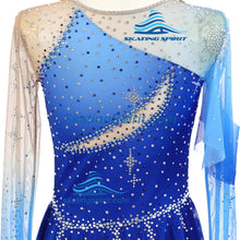 Load image into Gallery viewer, Figure Skating Dress #SD479 (Starry Night Theme)
