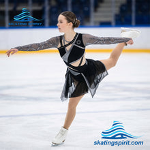Load image into Gallery viewer, Figure Skating Dress #SD480 (Galactic Empire Theme)