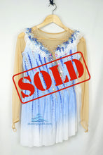 Load image into Gallery viewer, Ready to Ship Figures Skating Dress #SD229