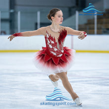 Load image into Gallery viewer, Figure Skating Dress #SD038
