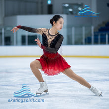 Load image into Gallery viewer, Figure Skating Dress #SD195