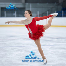 Load image into Gallery viewer, Figure Skating Dress #SD244