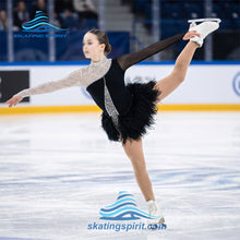 Load image into Gallery viewer, Figure Skating Dress #SD244