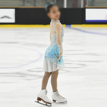 Load image into Gallery viewer, Figure Skating Dress #SD228